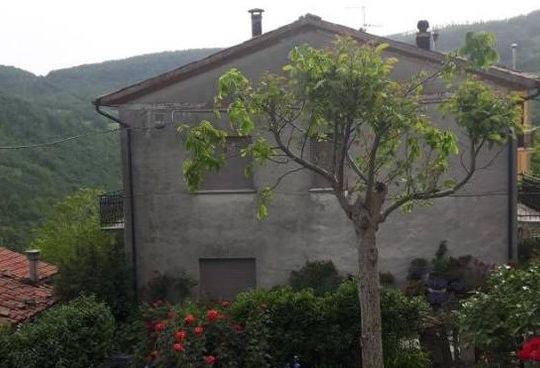 La casa di Luciana Simoncelli (ilrestodelcarlino.it)